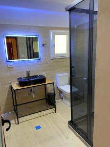 a bathroom with a sink and a glass shower at Bujtina Shpjia e Gjyshit in Ndërlysaj +23 photos