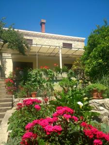 un giardino con fiori rosa di fronte a una casa di Antun Mozara Family House a Slano