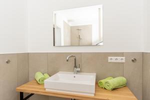 Gallery image of Ferienwohnungen Hartl in Spitz