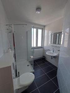 La salle de bains est pourvue d'un lavabo, de toilettes et d'une douche. dans l'établissement Brauereigasthof Schlüsselkeller, à Giengen an der Brenz