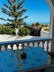 a reflection of a pine tree on a table at Étage RDC villa vu sur mer avec jardin in El Jadida