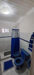 uma casa de banho com um WC azul e uma cortina de chuveiro azul em Casa blanca Posadas em Posadas