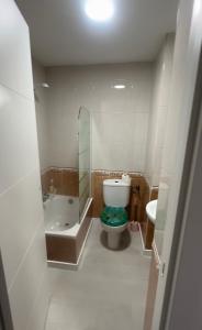 グラナダにあるPiso en el centro de granadaのバスルーム(トイレ、洗面台、鏡付)