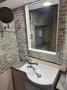 bagno con lavandino e specchio di "Les Echalas" Appartement indépendant avec cuisine en Lavaux Unesco a Chexbres