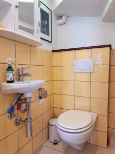 ein Bad mit einem WC und einem Waschbecken in der Unterkunft "Les Echalas" Appartement indépendant avec cuisine en Lavaux Unesco in Chexbres
