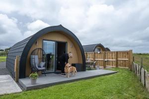 a man and a dog standing outside of a dome house at Glengolly Getaways in Thurso