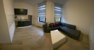 ein Wohnzimmer mit einem Sofa und einer Küche in der Unterkunft Ferienwohnung&Aparts By kispet group hotels in Oberhausen in Oberhausen