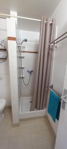 un bagno con doccia e WC di BO SOLEY, studio vue mer Les Hauts de Caritan a Sainte-Anne