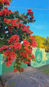 Vila Flexal Pousada I في ألتر دو تشاو: شجرة عليها زهور حمراء أمام لافتة