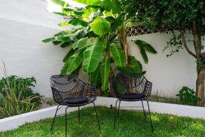 Ogród w obiekcie Casa Alejandro