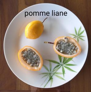 Cibo presso l'appartamento o nelle vicinanze