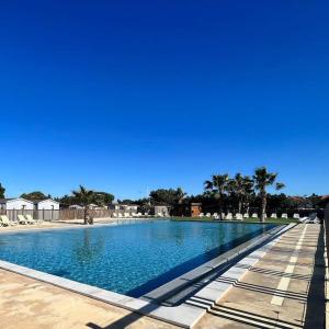 een groot zwembad met blauw water en palmbomen bij Mobile home tout confort Roman in Port-la-Nouvelle