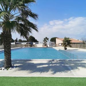 een groot zwembad met een palmboom ernaast bij Mobile home tout confort Roman in Port-la-Nouvelle