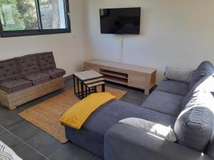 ein Wohnzimmer mit einem Sofa und einem TV in der Unterkunft Studio du Roc des Garrigues in Langlade