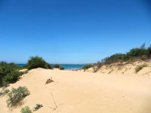 une plage de sable avec l'océan en arrière-plan dans l'établissement Beach House Focallo (private car park), à Ispica