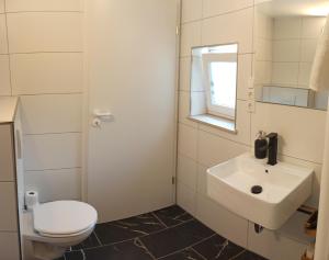 a bathroom with a white toilet and a sink at Schlafort in Porta Westfalica