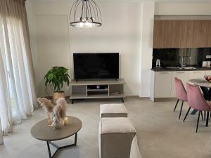 TV a/nebo společenská místnost v ubytování Morpheus boutique apartment