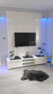 a living room with a flat screen tv and a fur rug at Apartament Zalesie z tarasem in Lubin