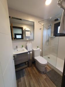 a bathroom with a toilet and a sink and a shower at Tiny House Suite Los Mallines de Malalcahuello in Malalcahuello