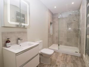 a bathroom with a toilet and a sink and a shower at Teal Barn Annexe in Saint Weonards +13 photos