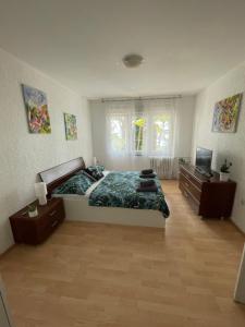 1 dormitorio con 1 cama y TV en P&K, en Rijeka