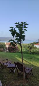 Kép Kamaria Bay View szállásáról Kamária városában a galériában