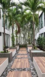 a walkway with palm trees in a building at Moderno y amplio estudio en el centro de Playa in Playa del Carmen