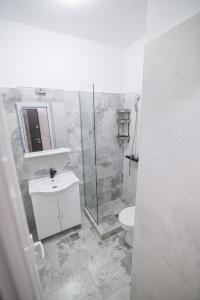 a bathroom with a shower and a sink and a toilet at Cazare Dumbrava in Eforie Sud +25 photos