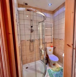a bathroom with a shower and a toilet at Turbacz pokoje gościnne in Ochotnica Górna