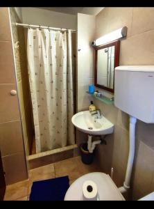 La salle de bains est pourvue de toilettes, d'un lavabo et d'une douche. dans l'établissement Studio Manora Sucuraj, à Sućuraj