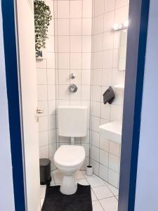 a small bathroom with a toilet and a sink at 21qm² Business Apartment in Bielefeld