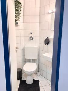 een kleine badkamer met toilet en wastafel bij 21qm² Business Apartment in Bielefeld