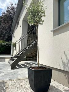 un arbre dans un pot devant un bâtiment dans l'établissement Loft blanc (baignoire balnéo et sauna), à Trois-Ponts