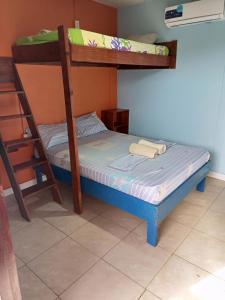 Litera en habitación con literas y utensilios de cocina en Surfari Bocas en Bocas del Toro