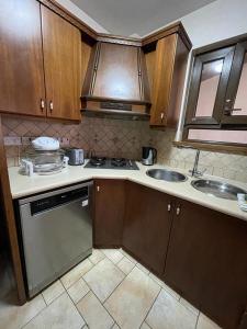 a kitchen with wooden cabinets and a sink and a dishwasher at Palm Villa Private Studio in Phrenaros