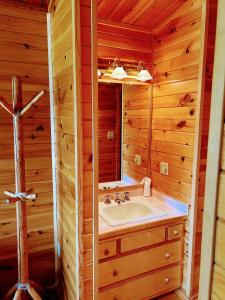 uma casa de banho com um lavatório e um espelho em NewVida Preserve em Wilmington