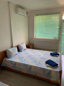 Φωτογραφία από το άλμπουμ του Summer SZ Guest House στη Σωζόπολη +44 φωτογραφίες