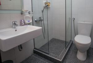 a bathroom with a toilet and a sink and a shower at Pension Aldebaran in Potos +41 photos
