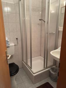 La salle de bains est pourvue d'une douche, de toilettes et d'un lavabo. dans l'établissement Urlaub am Fieglerberg, 
