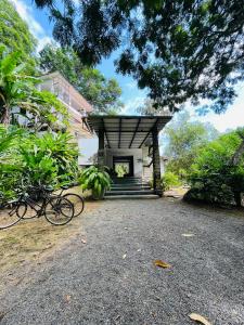Rattasõit majutusasutuse TheLakeHostel aladel või selle läheduses