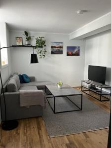a living room with a couch and a tv at Cozy ground floor apartment in Tromsø