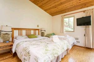 a bedroom with two beds and a flat screen tv at Kilauea iki- Hale Kumu La'au in Volcano