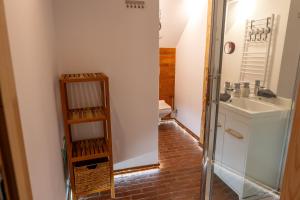 a bathroom with a shower and a sink and a toilet at Apartamenty Sudeckie nad zalewem II in Sosnówka