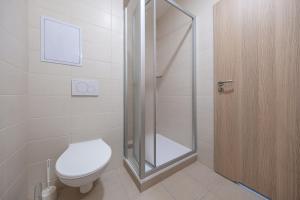 Penzion BIG HOUSE في براغ: حمام مع مرحاض ودش زجاجي