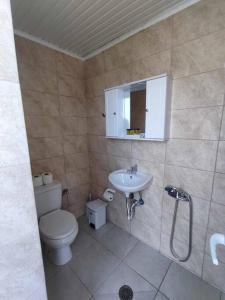 een badkamer met een toilet en een wastafel bij Livadi apt in Paránimfoi