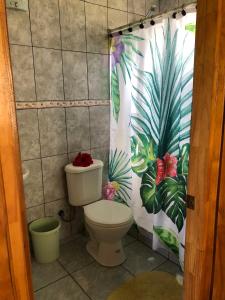a bathroom with a toilet and a shower curtain at Cabanas Hinariru Nui in Hanga Roa