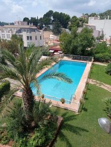 una vista aérea de una piscina con palmeras en Casa de Adriana, en Nàquera