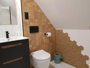 een badkamer met een wastafel, een toilet en een trap bij Dom nad Biebrzą - Siedlisko Wroceń 57 in Wroceń