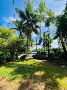 un patio con palmeras y un barco en el césped en TheLakeHostel en Hikkaduwa