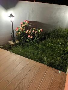 Aed väljaspool majutusasutust Villa Norah t5 duplex